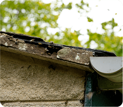 gas_leak-roof_cavity_subfloor_pipe
